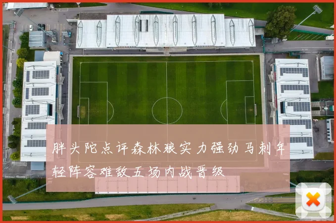 胖头陀点评森林狼实力强劲马刺年轻阵容难敌五场内战晋级
